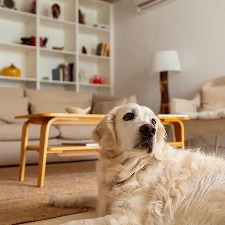 Casa Do Almirante Villa