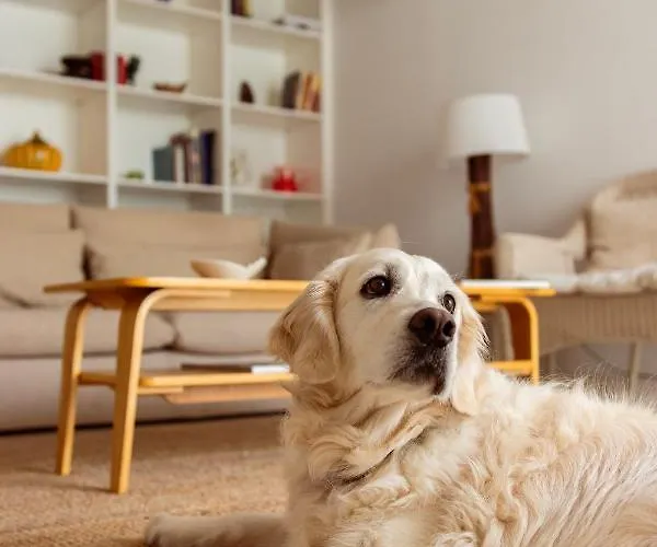 Casa Do Almirante Villa